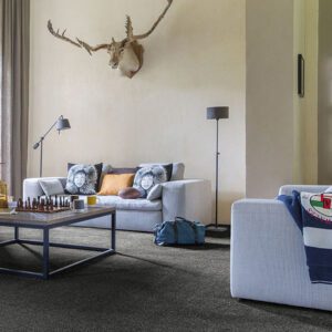 Associated Weavers Invictus Andromeda