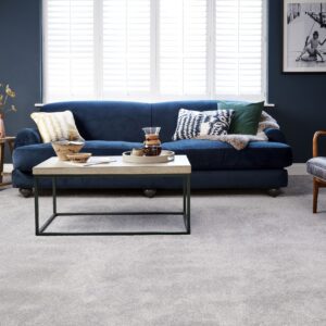 Abingdon Stainfree Boston Felt Bac