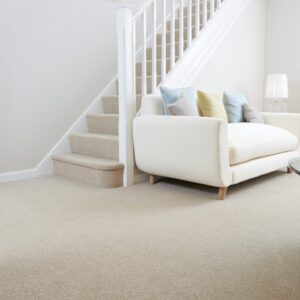 Abingdon Flooring Wilton Royal New Royal Windsor