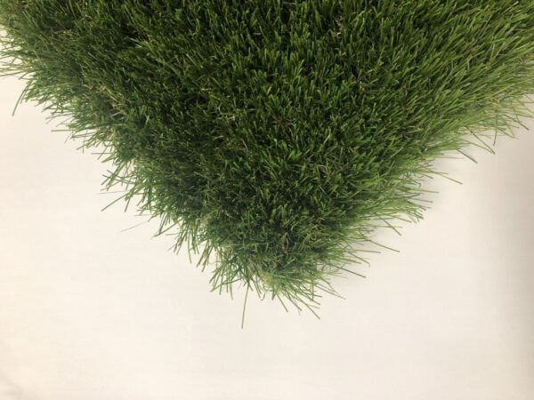 IMG_4844-scaled-e1595583283915