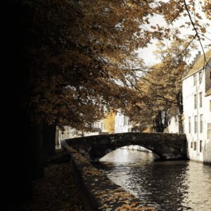 Elements London Bruges