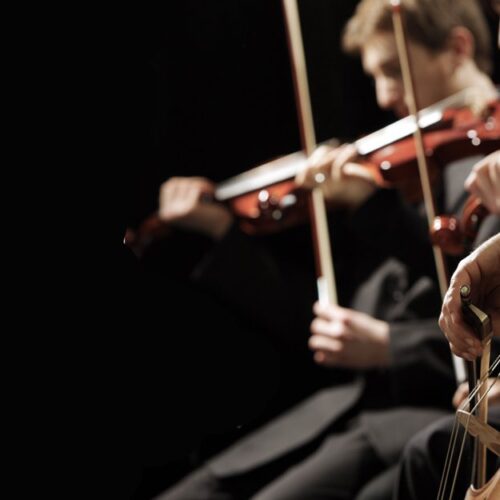 Elements London Symphony Sheen Velvet - Image 1