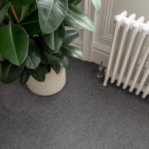Clarendon Carpets New Elite Twist