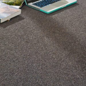 Clarendon Carpets New Kendall Deluxe