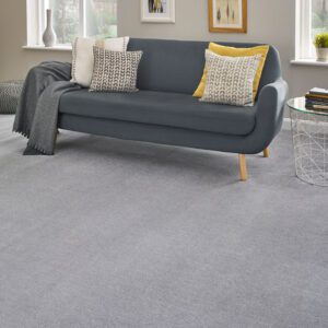 Clarendon Carpets Vogue Velour