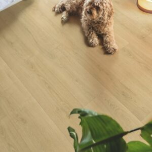 Quick Step Capture