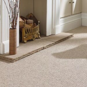 Abingdon Stainfree Country