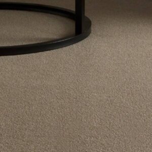 Lifestyle Floors Divine Decadence