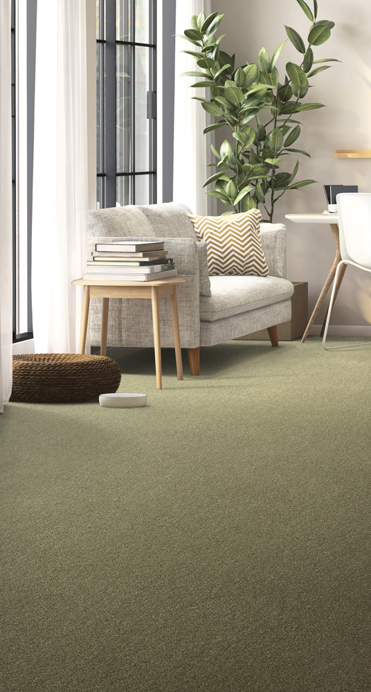 White fabric sofa, India rubber plant, wooden side table and desk in modern and luxury creamed wall and parquet floor room with sunlight from sheer curtain window