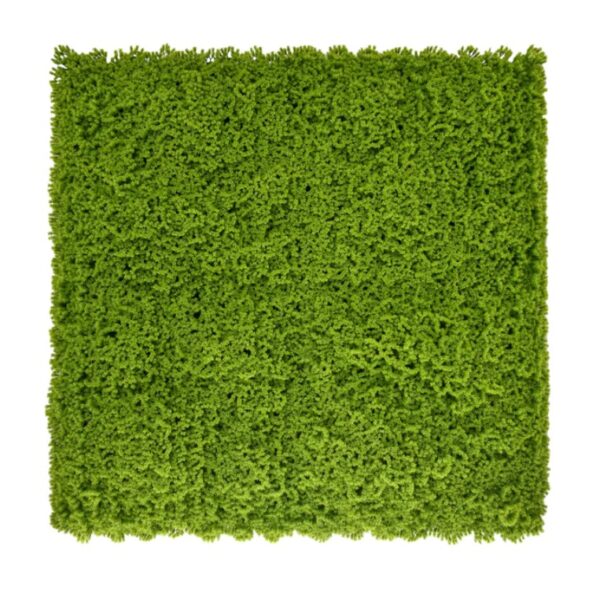 MOSS