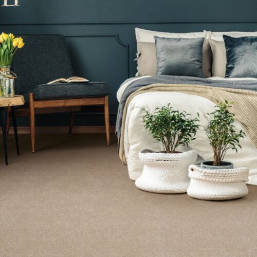 Balta Ankara - Image 1