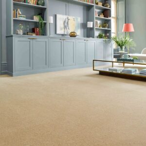 Hugh Mackay Riverside Revivals