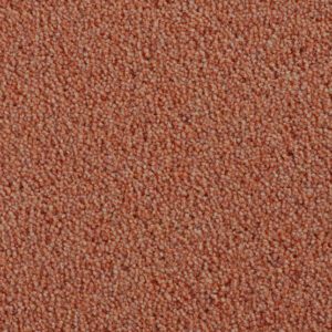 Cavalier Carpets Pennine Heathers Regal