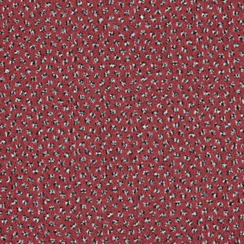 JHS New Andaman - Image 1